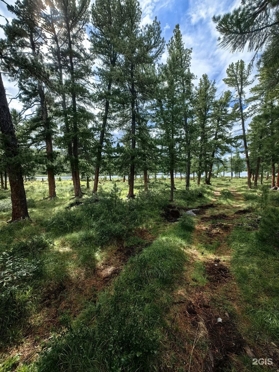 Апартаменты на 33-й км автодороги Акташ-Улаган, база отдыха Балыкту - фото 30