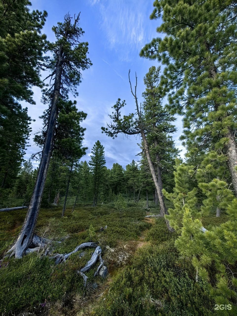 Апартаменты на 33-й км автодороги Акташ-Улаган, база отдыха Балыкту - фото 35