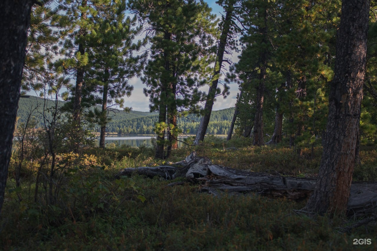 Апартаменты на 33-й км автодороги Акташ-Улаган, база отдыха Балыкту - фото 56