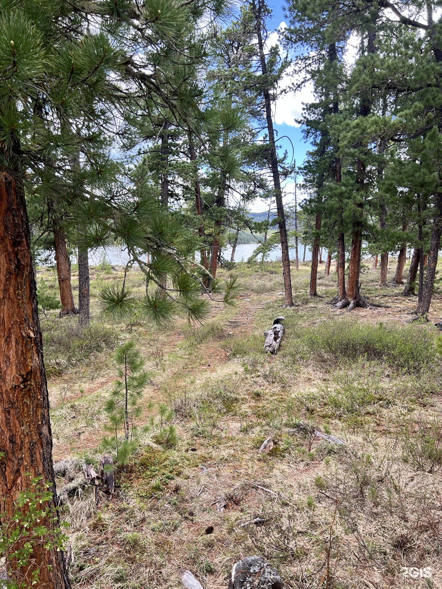 Апартаменты на 33-й км автодороги Акташ-Улаган, база отдыха Балыкту - фото 66