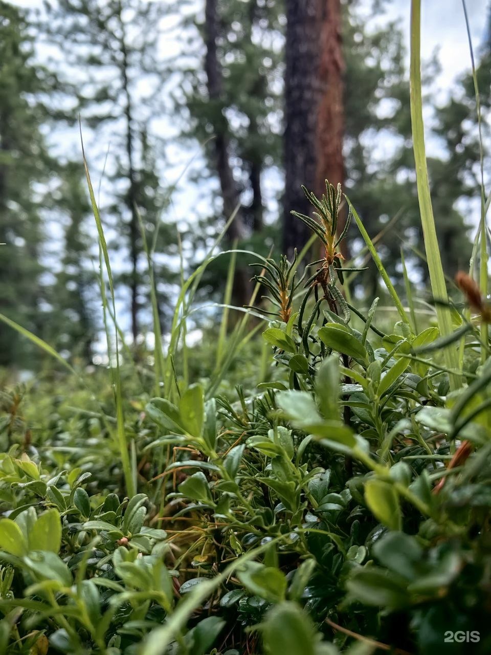 Апартаменты на 33-й км автодороги Акташ-Улаган, база отдыха Балыкту - фото 67