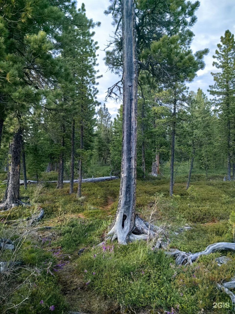 Апартаменты на 33-й км автодороги Акташ-Улаган, база отдыха Балыкту - фото 69