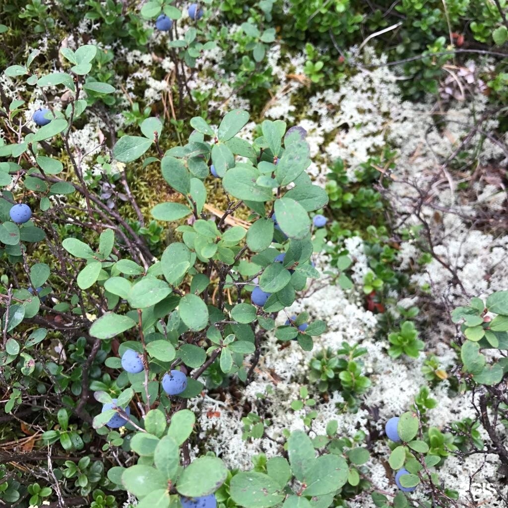 Апартаменты на 33-й км автодороги Акташ-Улаган, база отдыха Балыкту - фото 73