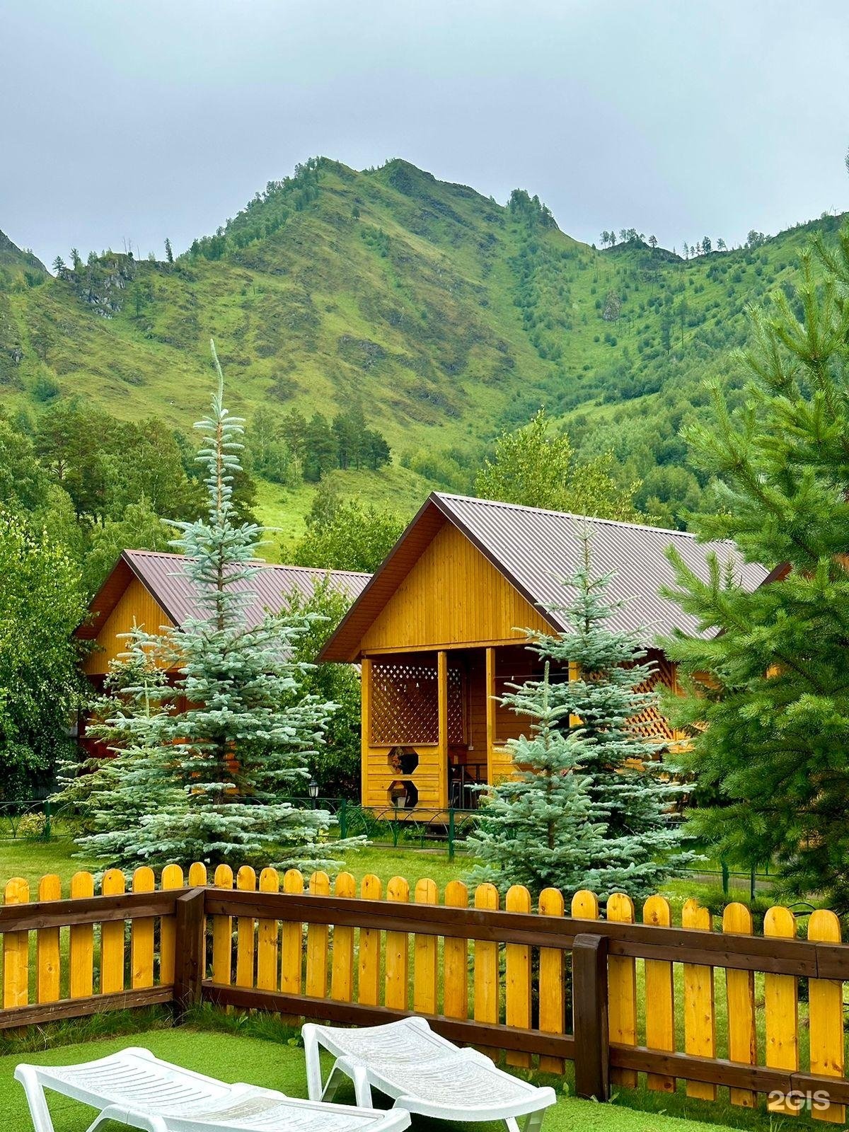 Голубые горы - фото 1