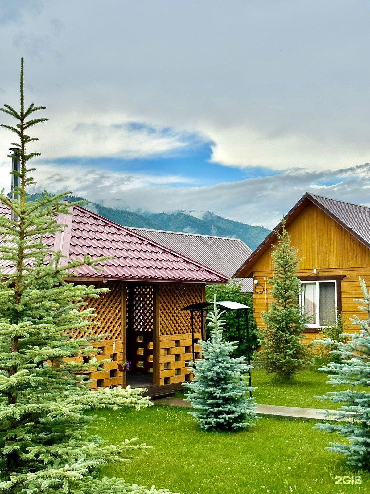 Голубые горы - фото 4