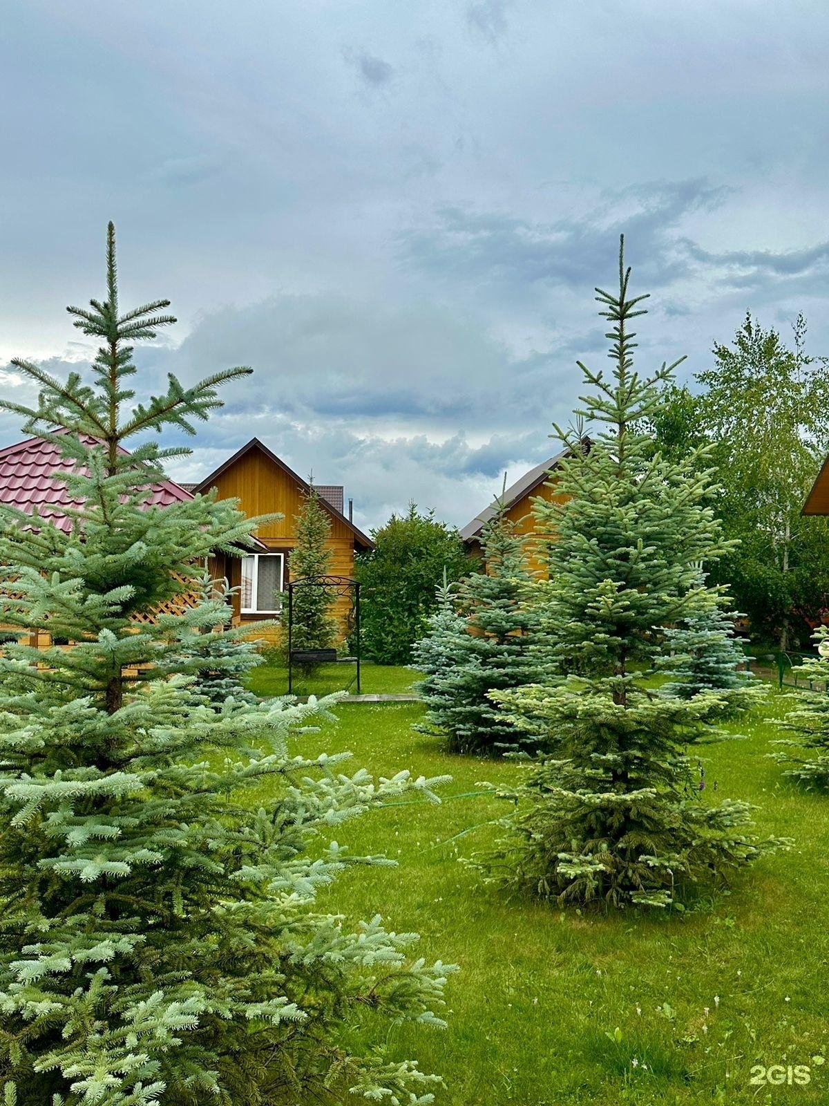 Голубые горы - фото 17