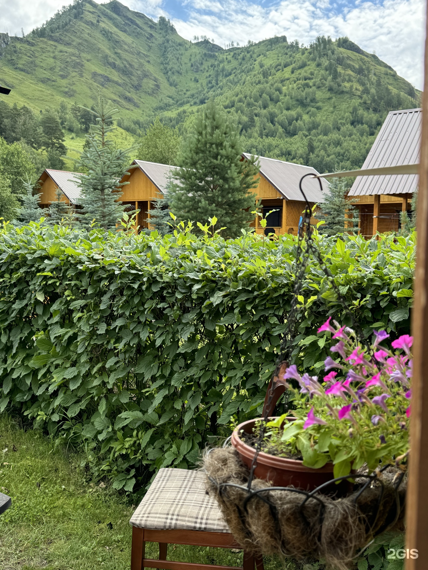 Голубые горы - фото 20