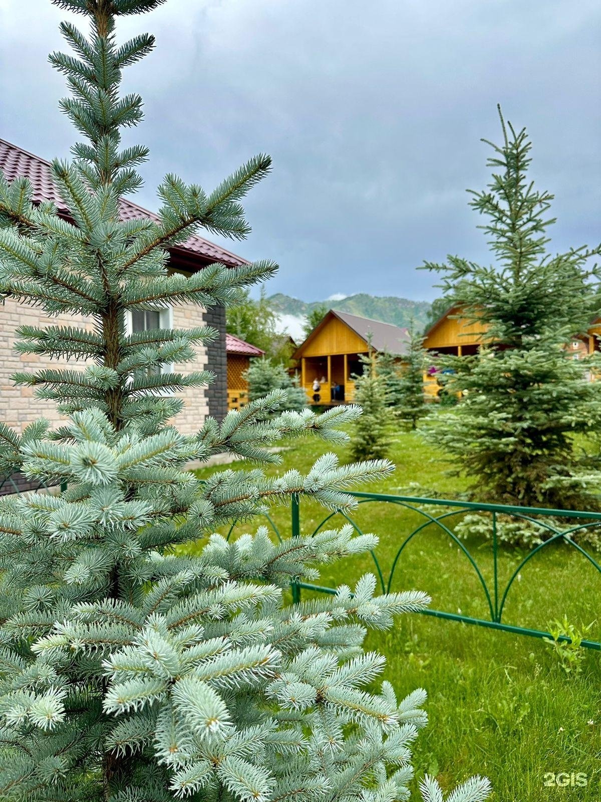 Голубые горы - фото 25