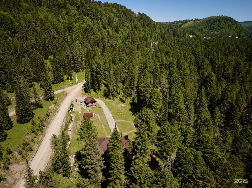 family studio - фото 18