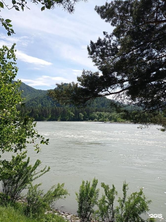 Алтай Дзен - фото 6