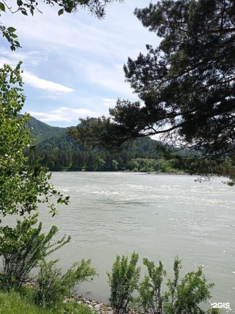 Алтай Дзен - фото 6