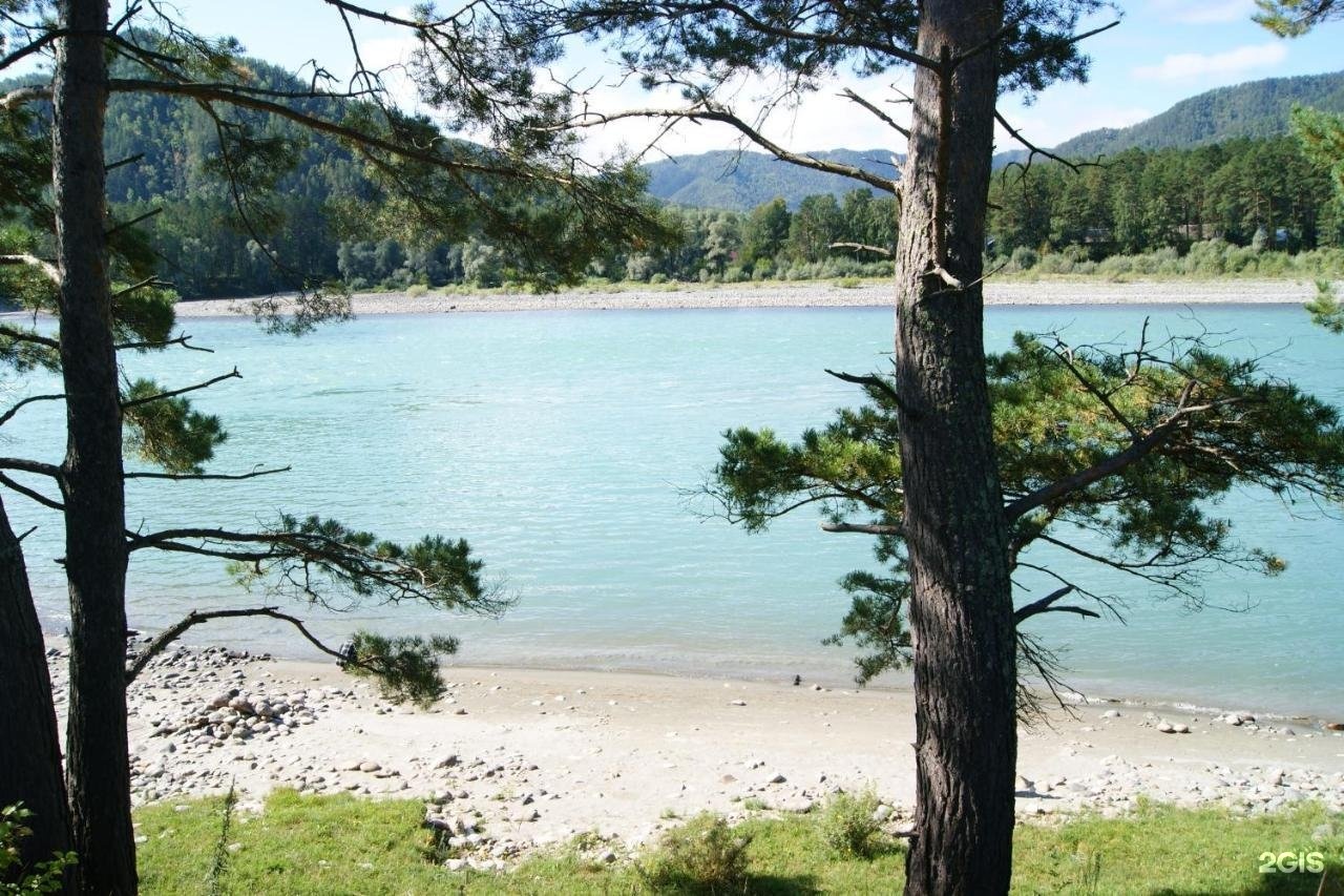 Алтай Дзен - фото 16
