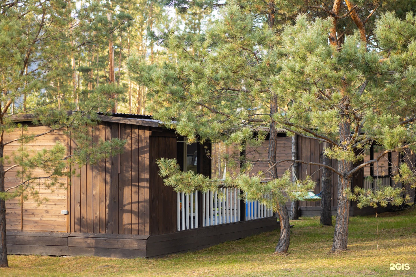 Сосновый рай - фото 17