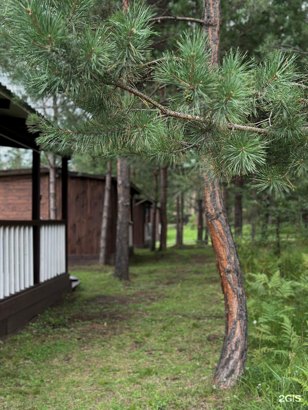 Сосновый рай - фото 18