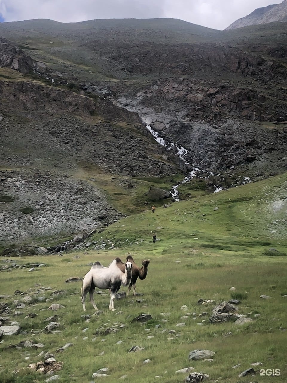 Сулук - фото 12