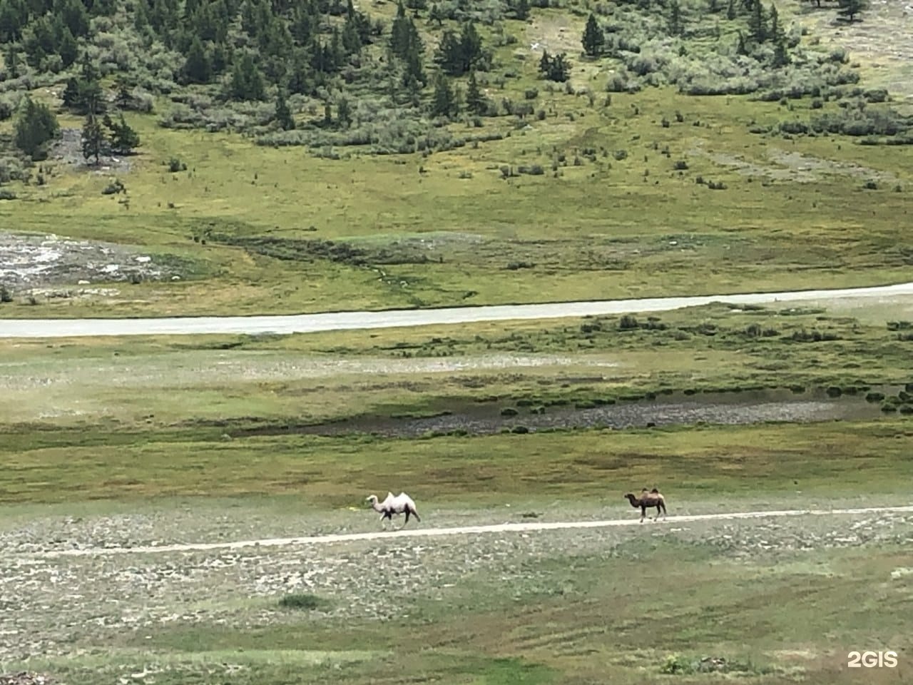 Сулук - фото 13