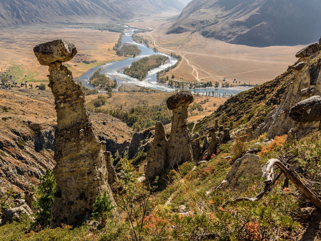 Каменные грибы - фото 1