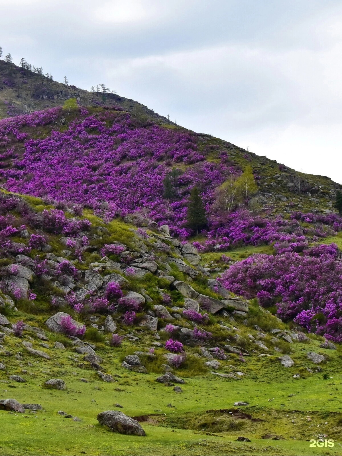 Трехместный домик - фото 3