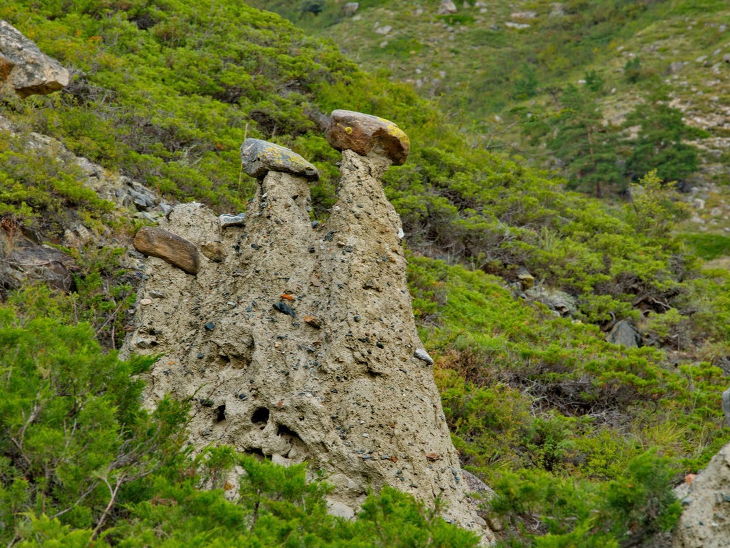 Каменные грибы - фото 3