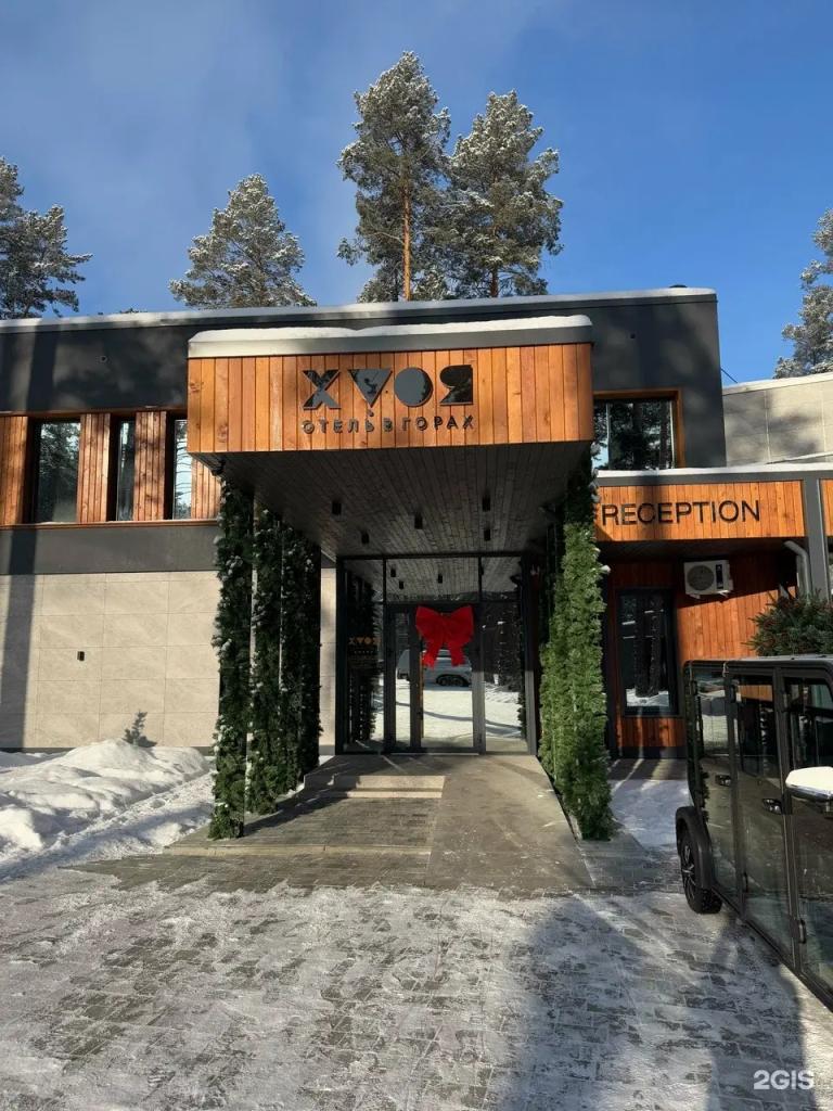 Хвоя в горах - фото 1