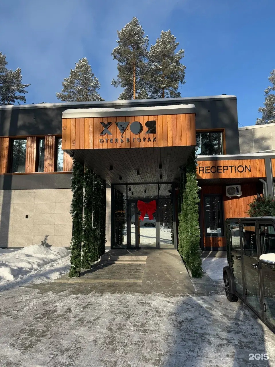 Хвоя в горах - фото 1