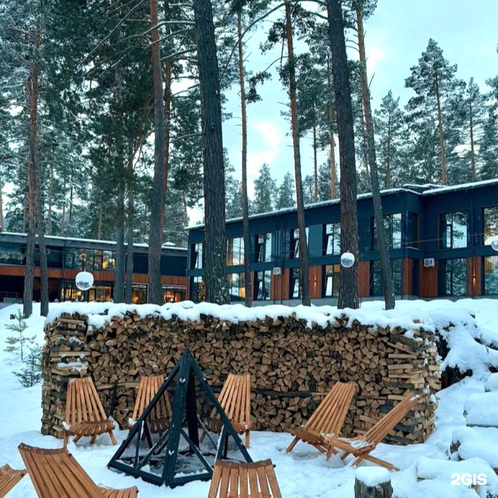 Хвоя в горах - фото 4