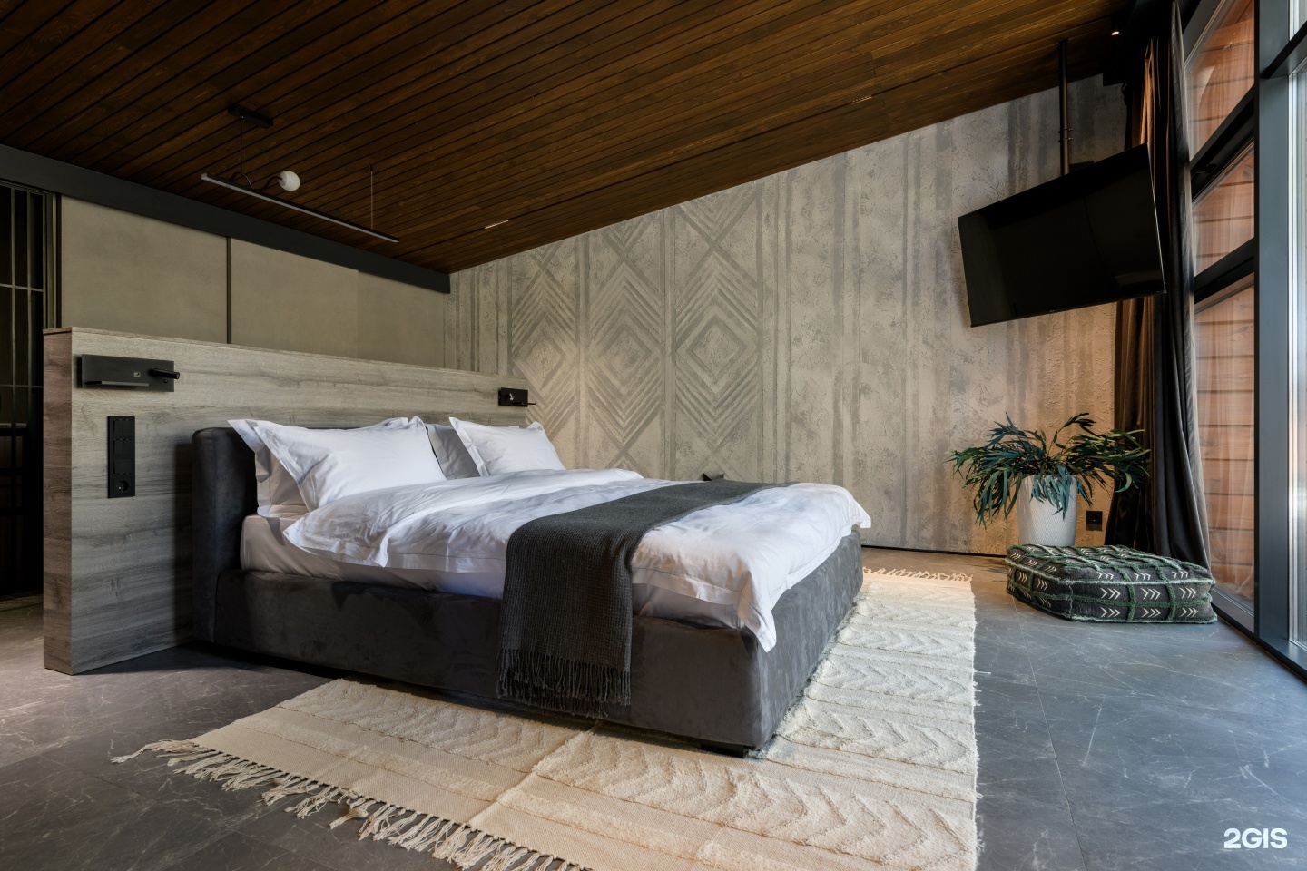 Хвоя в горах - фото 6