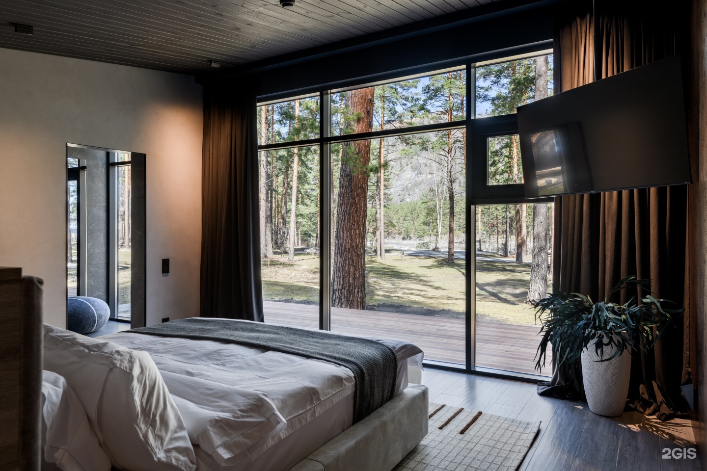 Хвоя в горах - фото 8