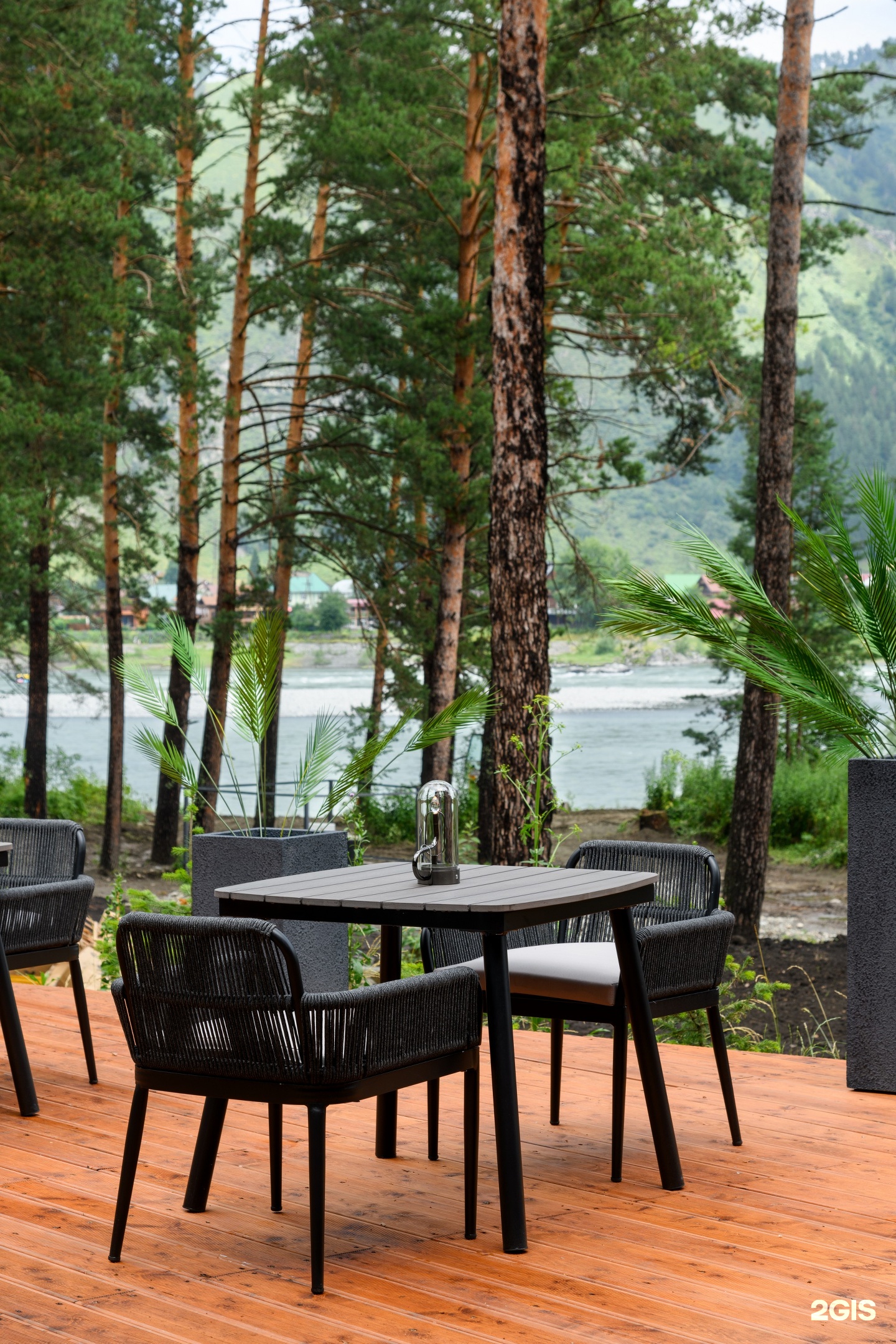 Хвоя в горах - фото 24