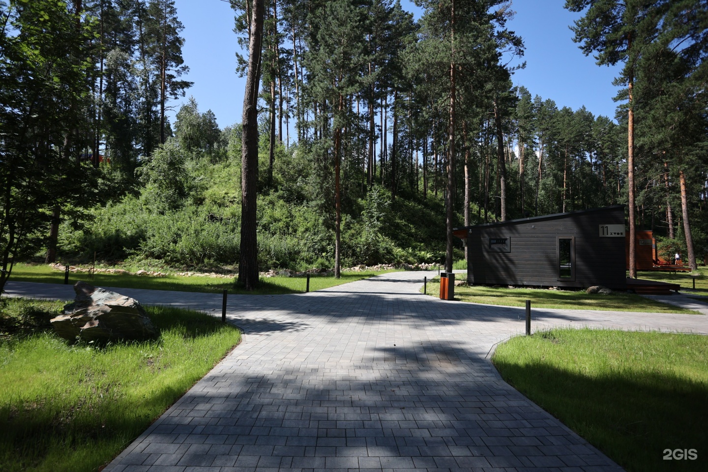 Хвоя в горах - фото 33