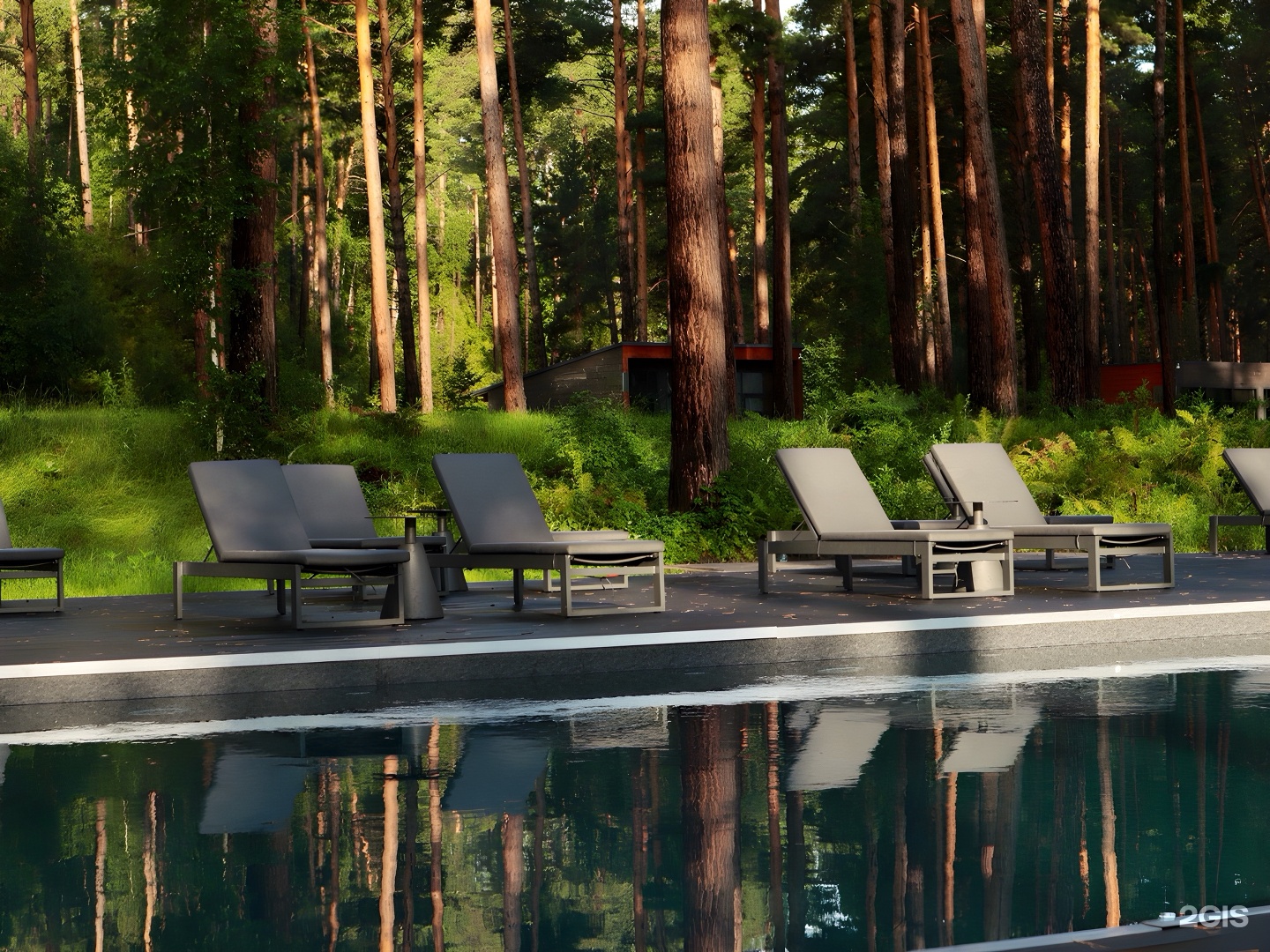 Хвоя в горах - фото 36