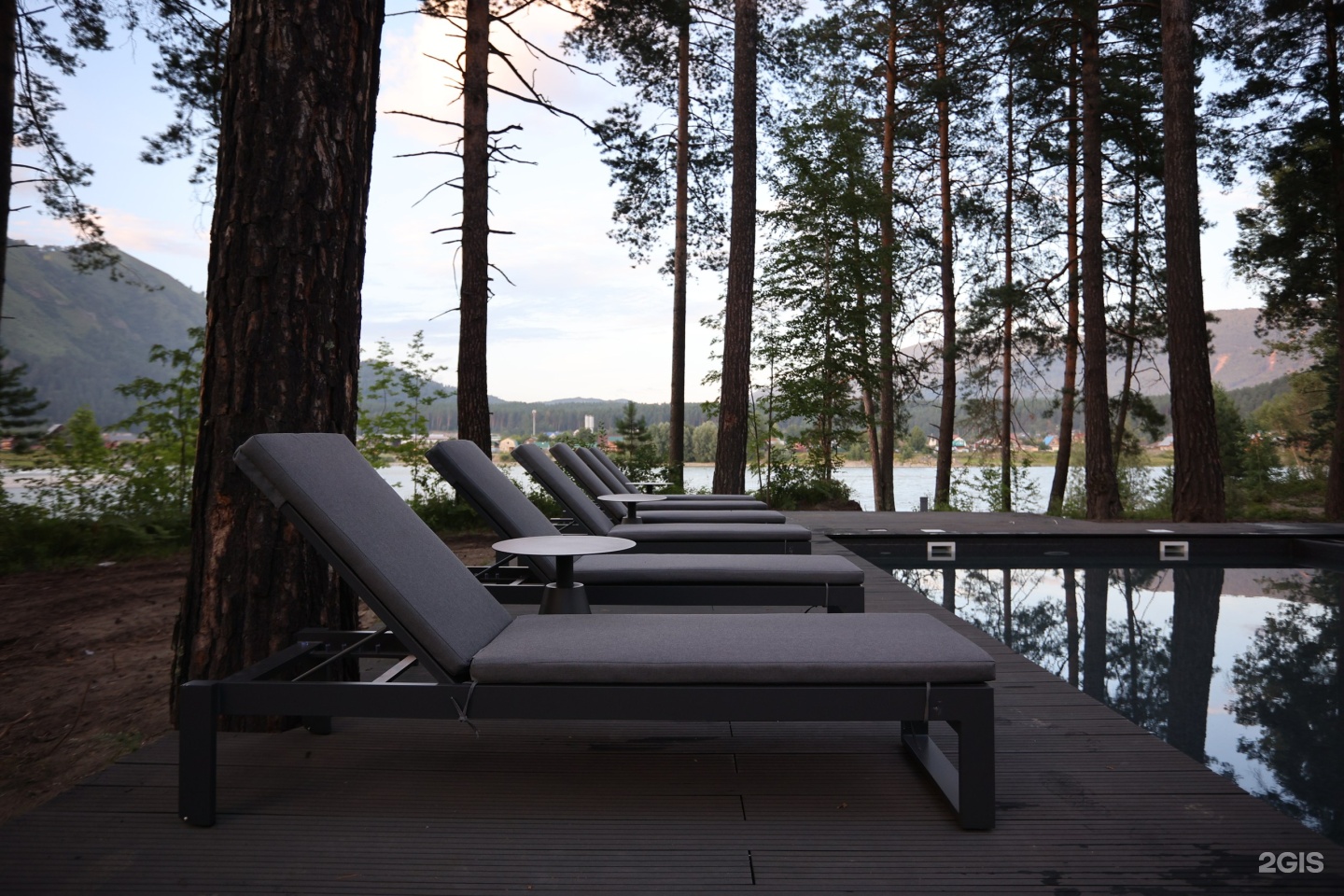 Хвоя в горах - фото 45