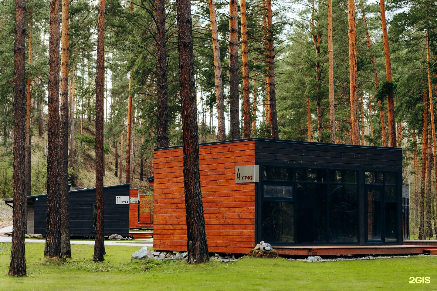 Хвоя в горах - фото 48