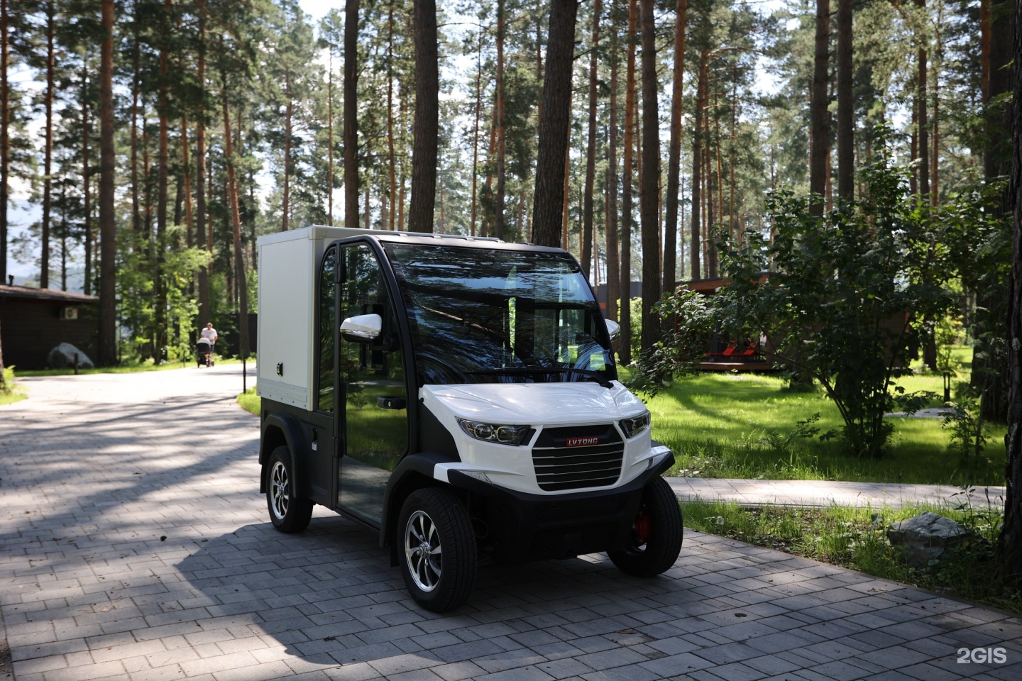 Хвоя в горах - фото 49