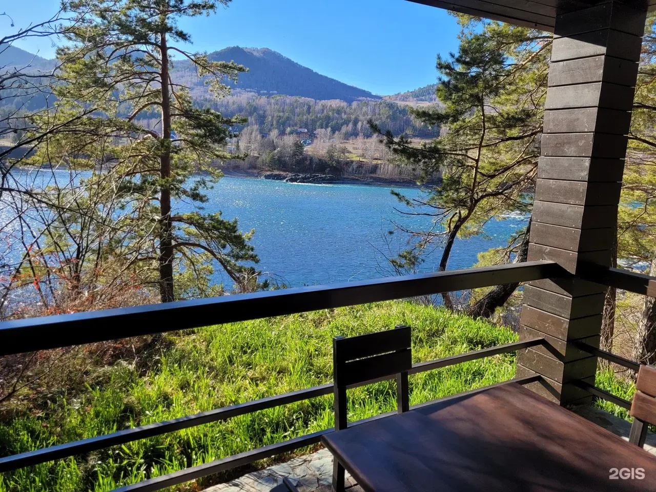 Шишка - фото 16