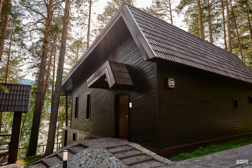 Шишка - фото 21