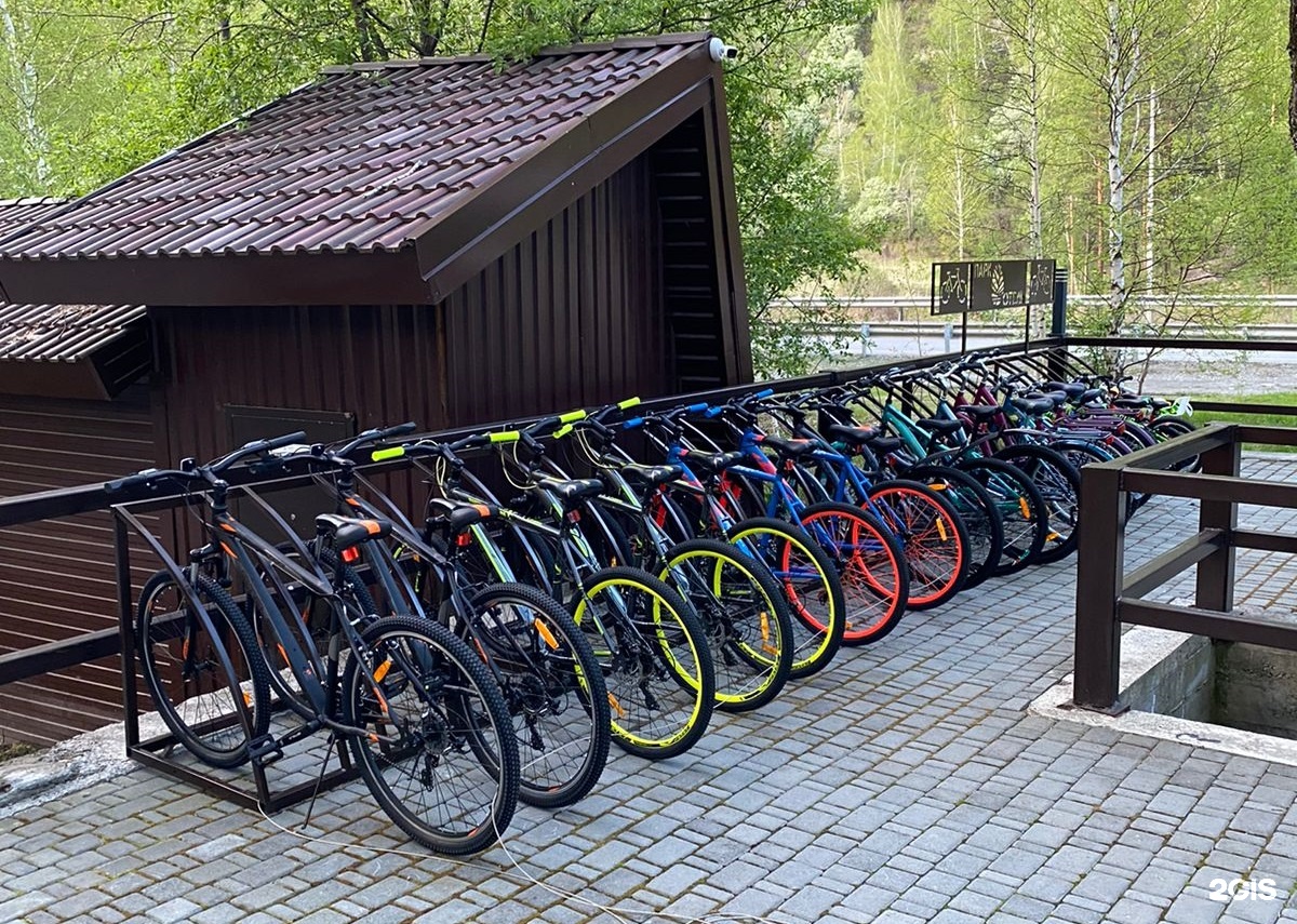 Шишка - фото 27