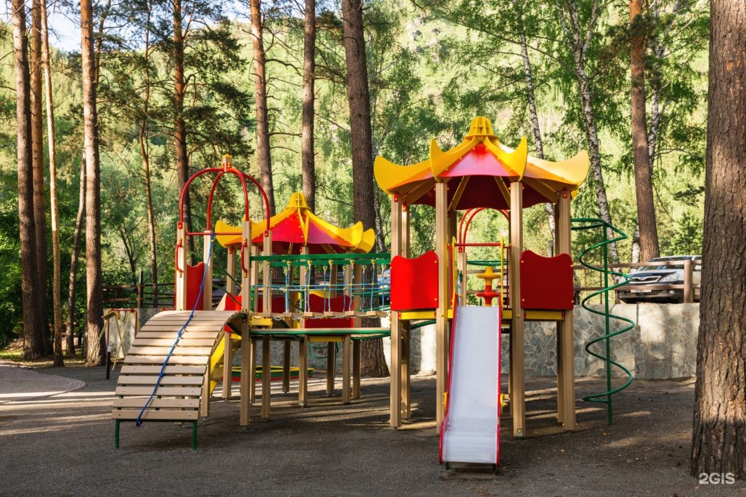 Шишка - фото 28