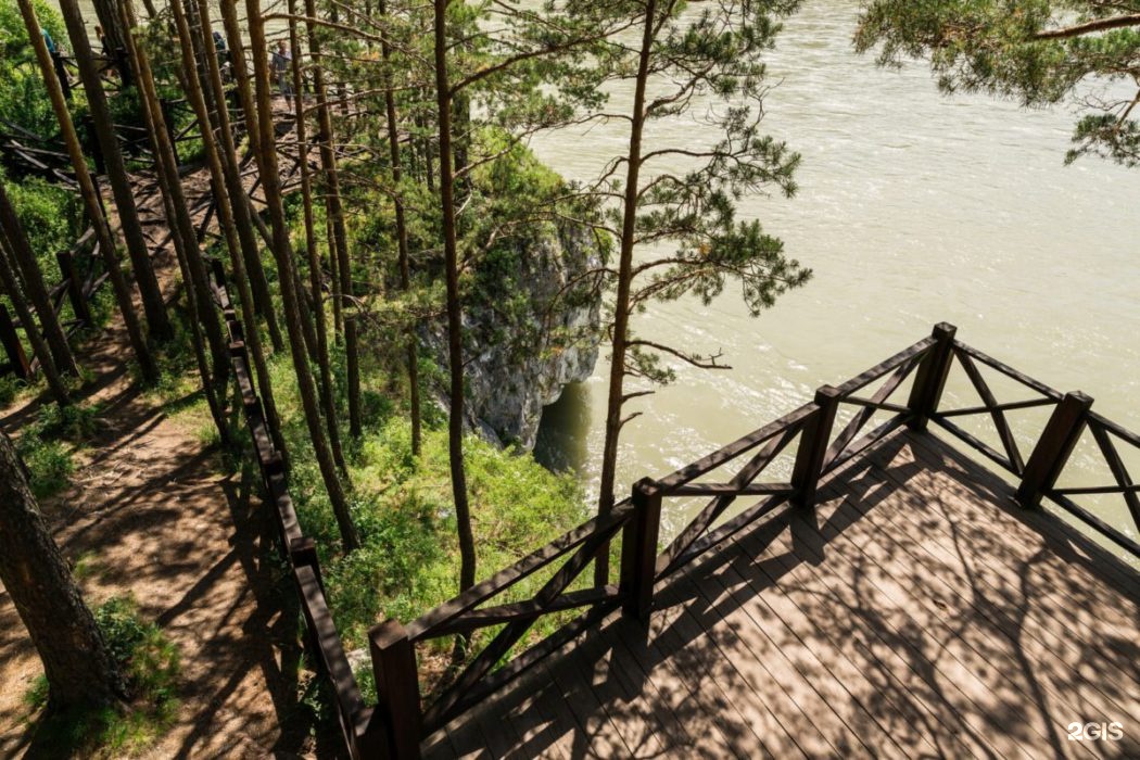 Шишка - фото 33