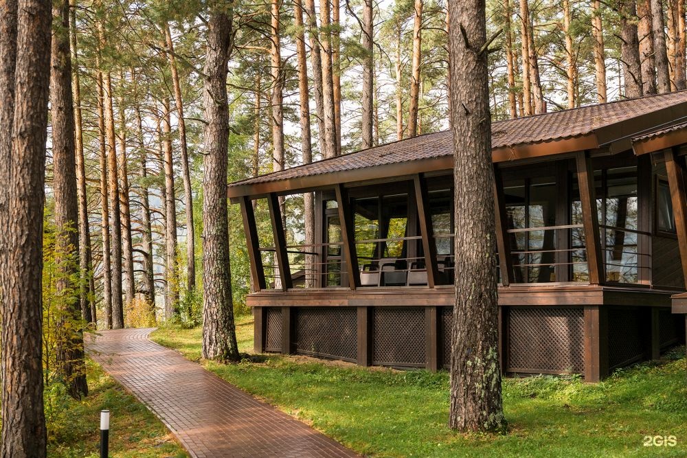 Шишка - фото 34