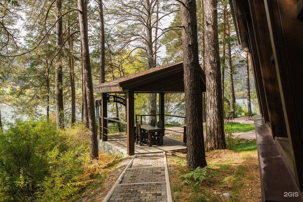 Шишка - фото 36