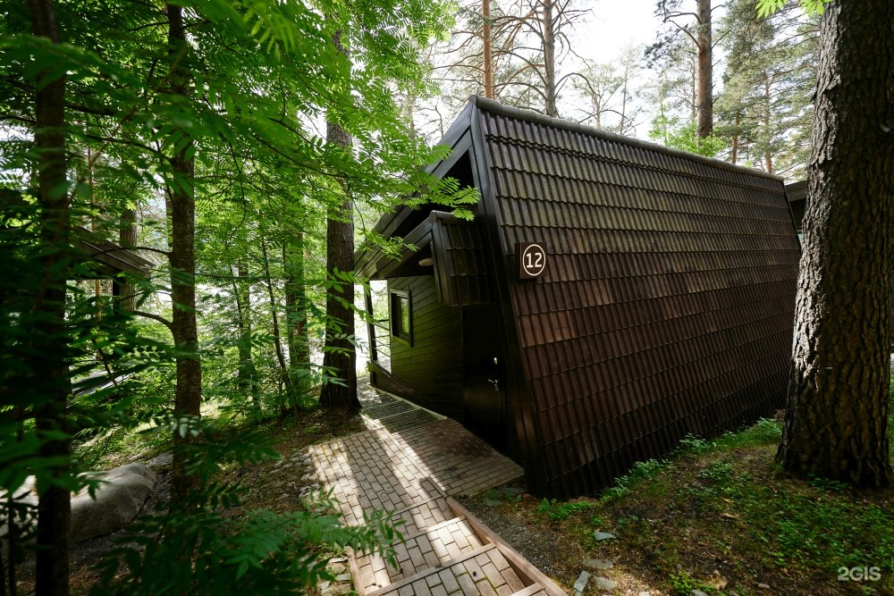 Шишка - фото 38