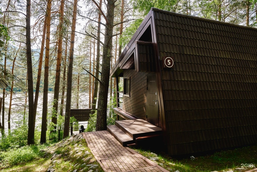 Шишка - фото 41