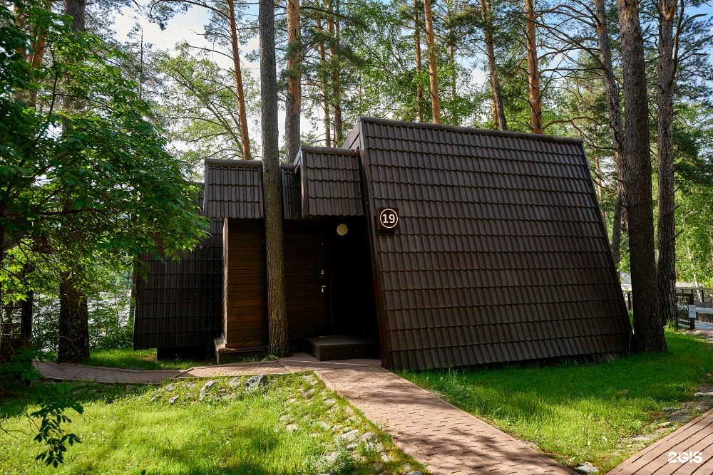 Шишка - фото 43