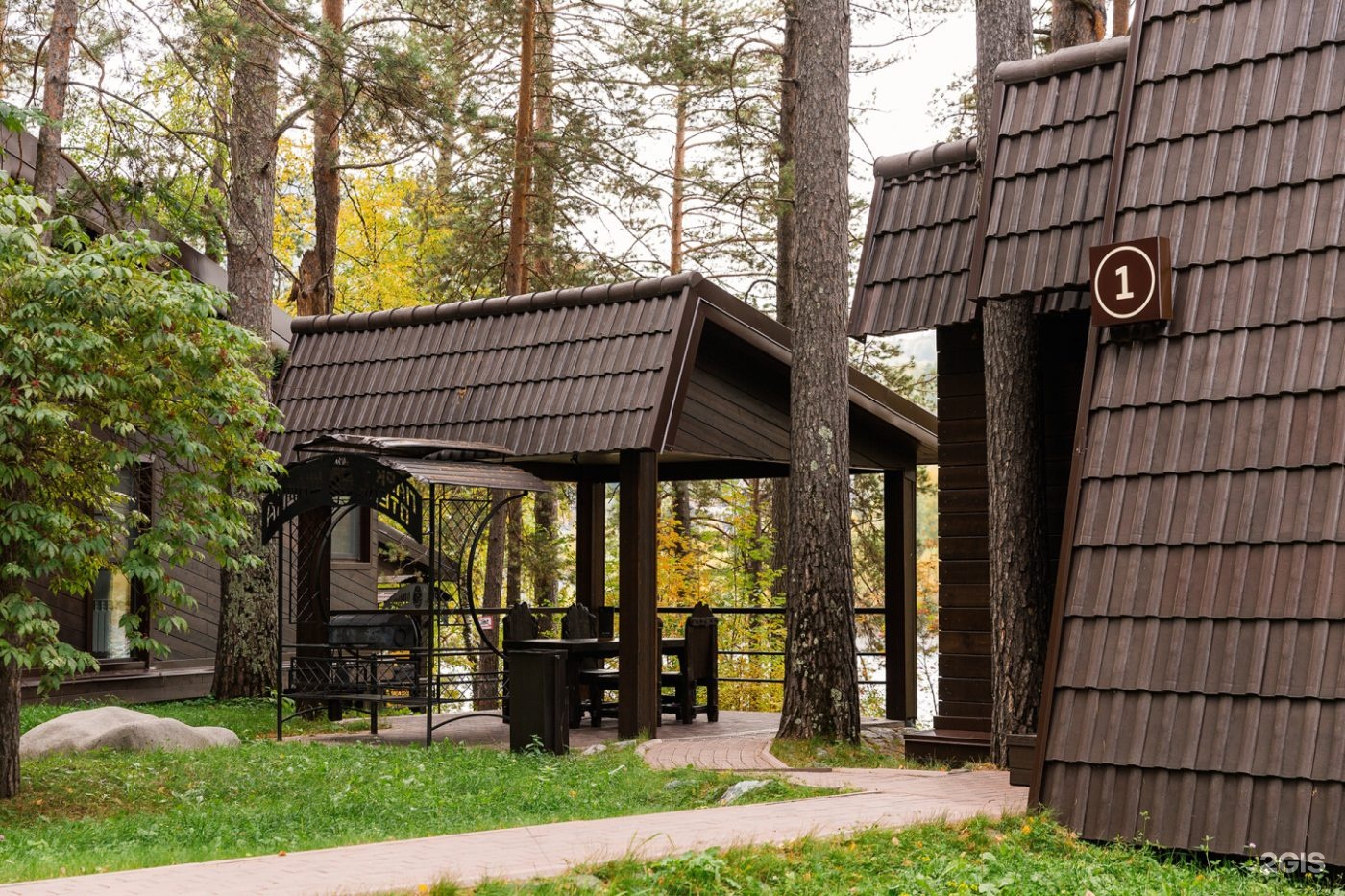 Шишка - фото 47