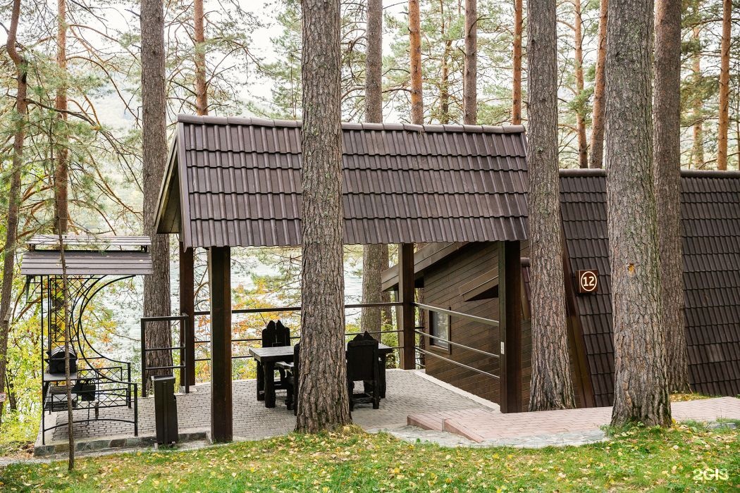 Шишка - фото 52