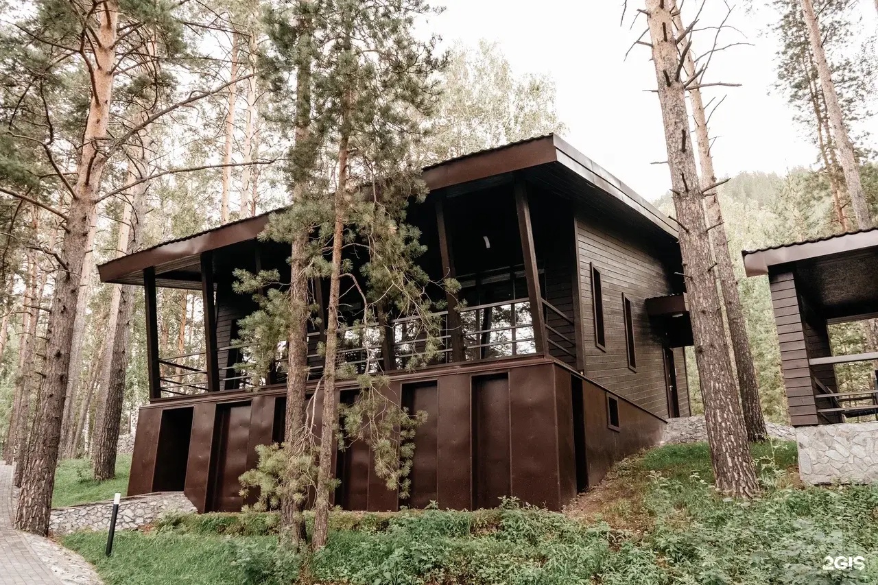 Шишка - фото 56