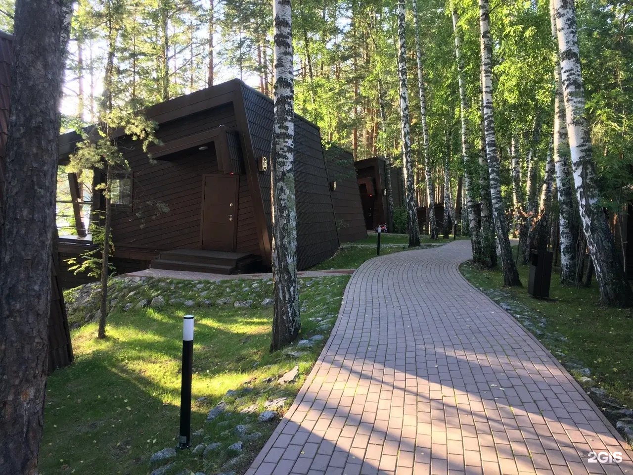 Шишка - фото 57