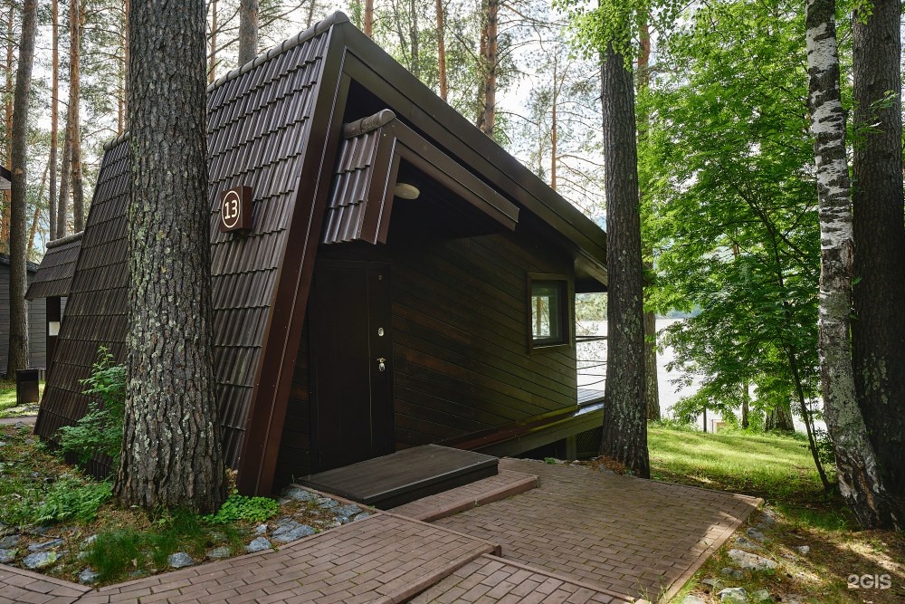 Шишка - фото 62