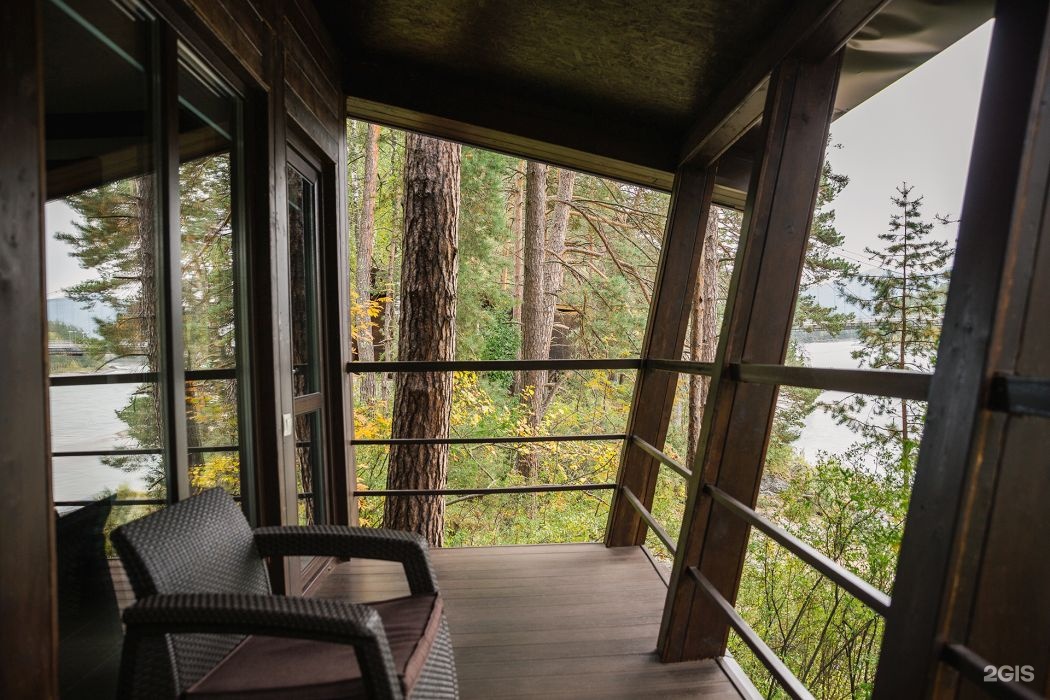 Шишка - фото 69